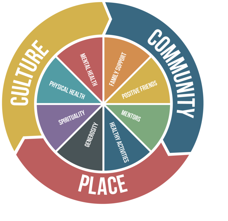 COMMUNITY WHEEL