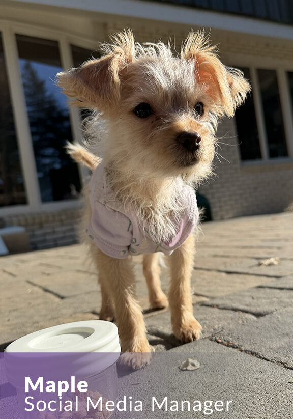 Processed with VSCO with c7 preset