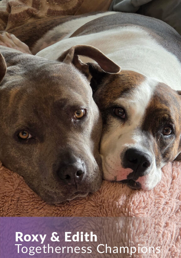 Processed with VSCO with c7 preset